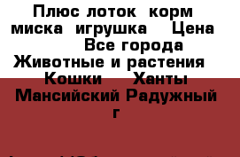 Плюс лоток, корм, миска, игрушка. › Цена ­ 50 - Все города Животные и растения » Кошки   . Ханты-Мансийский,Радужный г.